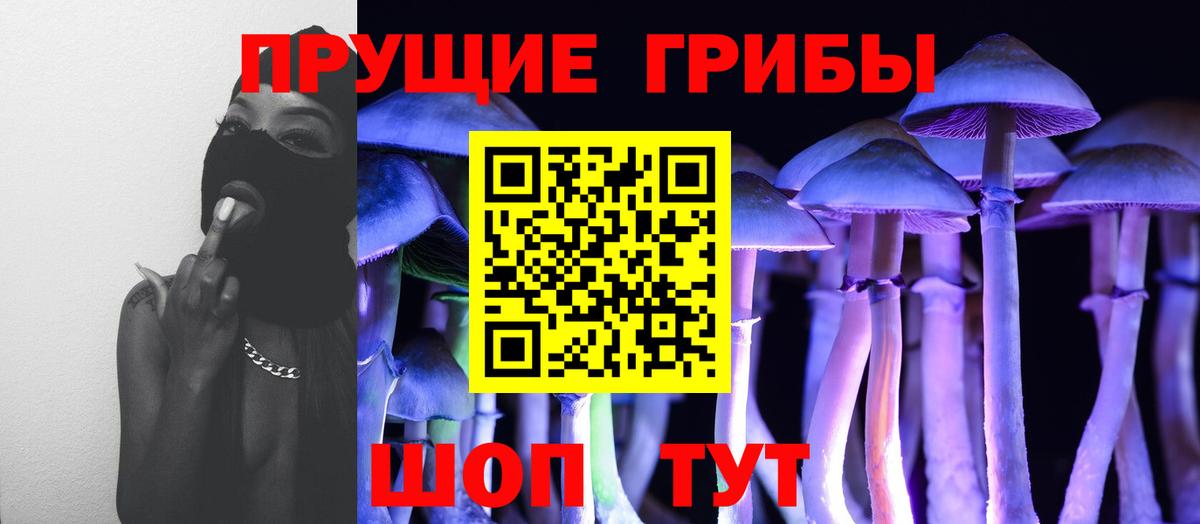 Галлюциногенные грибы Magic Shrooms Волжск