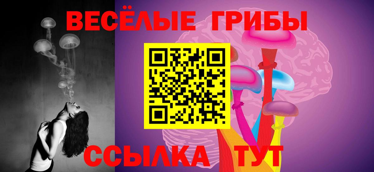 Волжск  Галлюциногенные грибы Magic Shrooms  Псилоцибиновые грибы GOLDEN TEACHER  Вход с VPN 